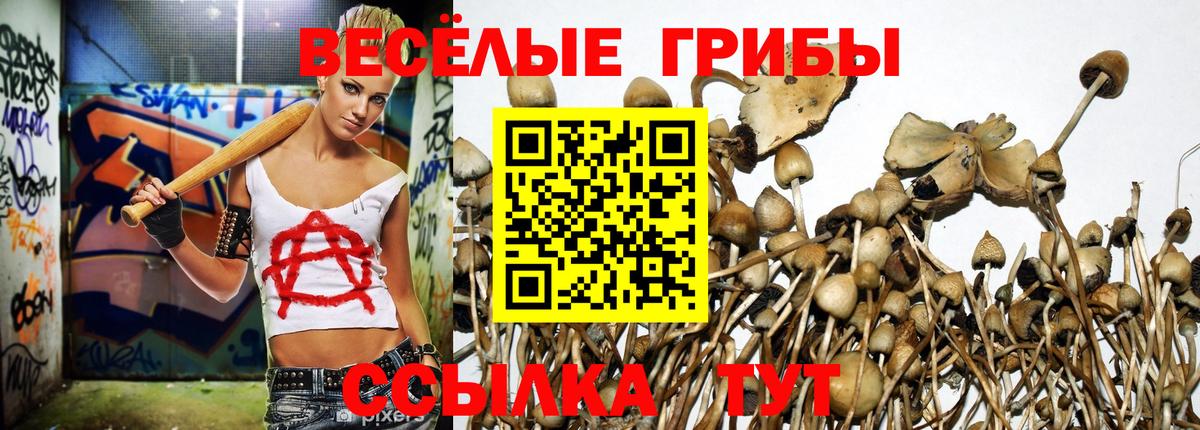 дарнет шоп  Галлюциногенные грибы мухоморы  Вход с VPN  Грязи 